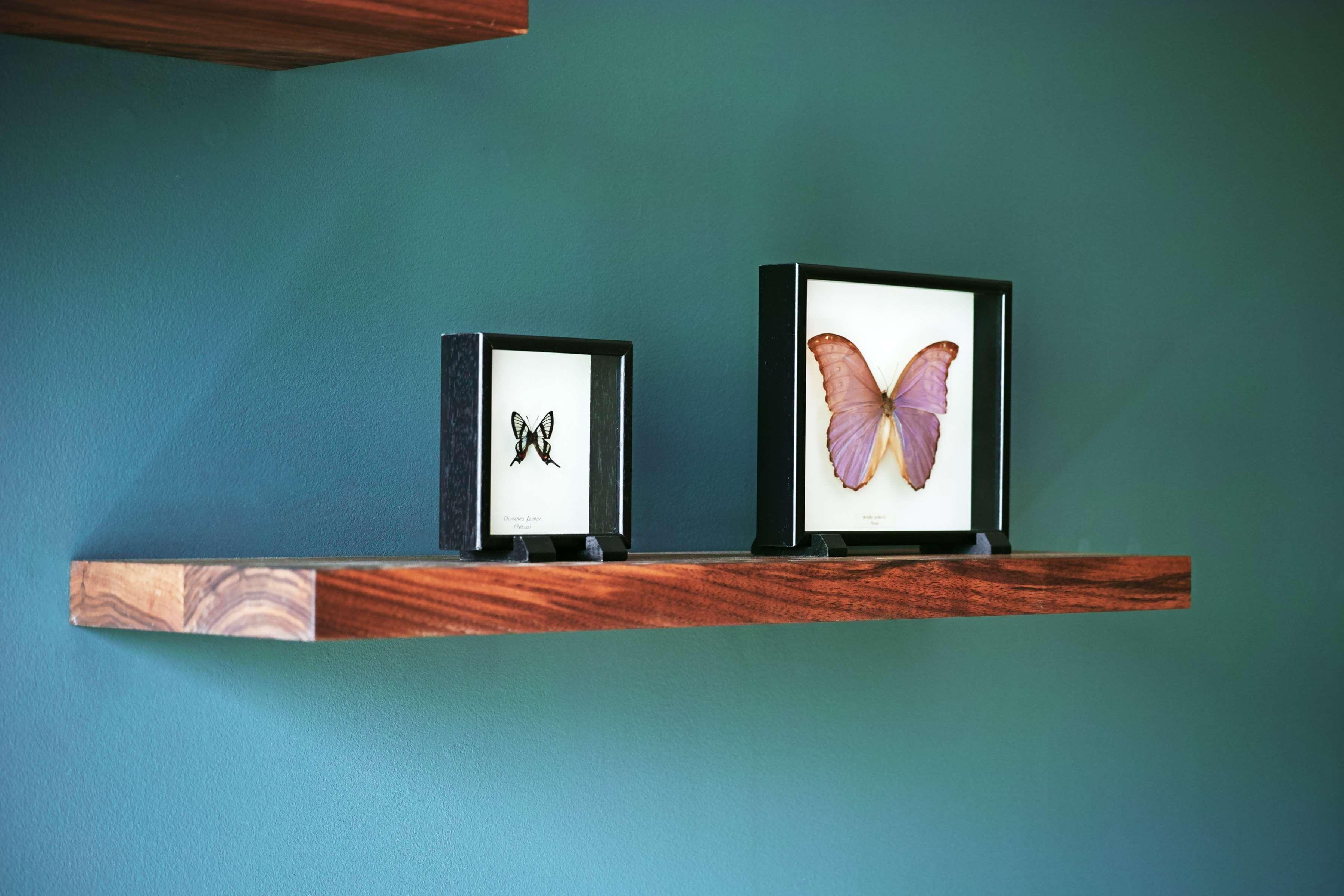 Отель Hyatt Regency Амстердам Экстерьер фото Butterfly displays